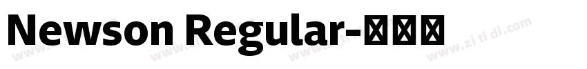 Newson Regular字体转换
